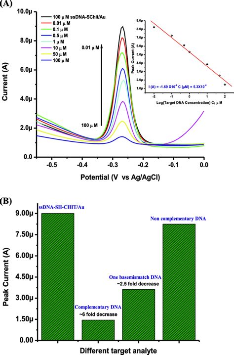 A Dpv Response Of Ssdna Sh Chitau Bioelectrode After Hybridization