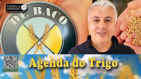 A Demanda Internacional Busca Trigo Em Outras Origens E As Cota Es