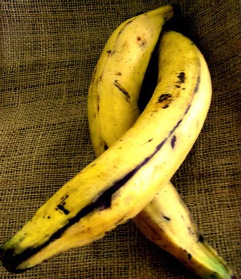 Receta De Cocina Plátanos Maduros Marihal Desde La RepÚblica Dominicana