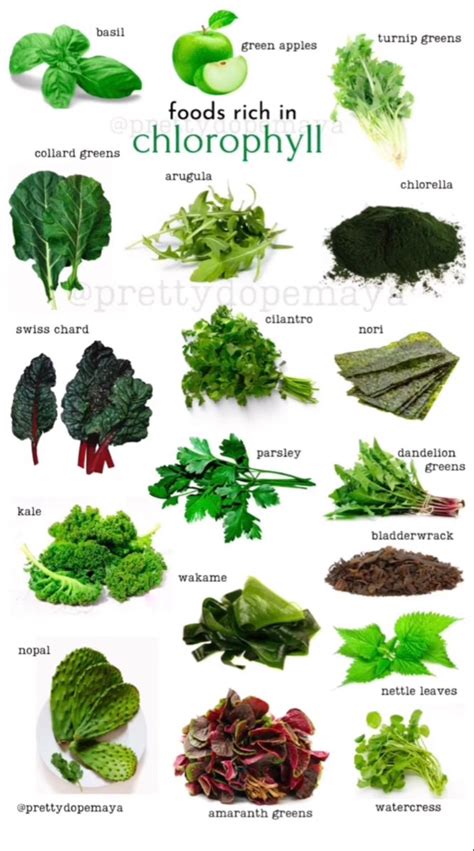 45 Green Leafy Vegetable Names With Pictures And Their Benefits Artofit