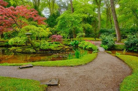 Parque Jard N Japon S De Clingendael La Haya Pa Ses Bajos Foto Premium