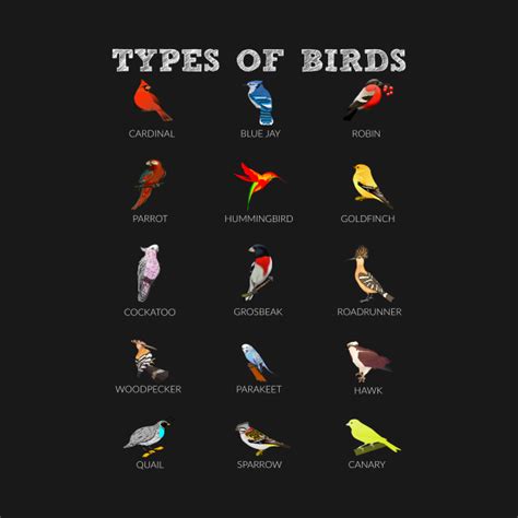 Fun Bird Watcher Lover 15 Colorful Types Of Birds Bird Lover T