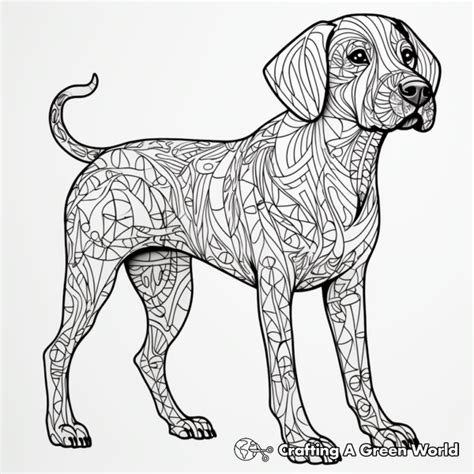 German Shorthaired Pointer Coloring Pages Free Printable