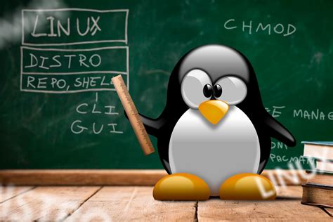 7 Essential Linux Terms Explained: Distro, DE, Repos, and More