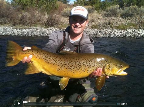 Vidéo de pêche à la mouche une truite record