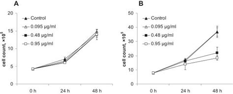 Effect Of Co Spion Concentration And Time Of Incubation On Cell