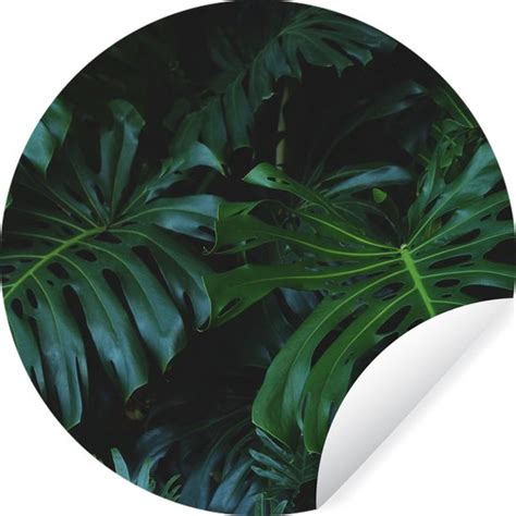 WallCircle Muurstickers Behangcirkel Monstera Bladeren