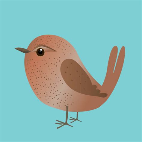 Cartoon Of Red Robin Birds Illustrations Royalty Free Vector Graphics