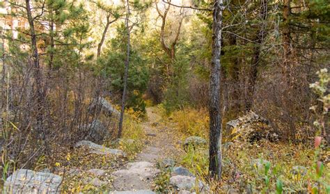 Bear Canyon | City of Boulder