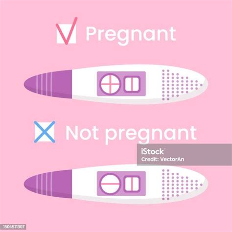 Vector Positive And Negative Pregnancy Tests Home Early Detection Pregnancy Hormone Female