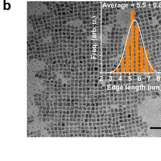 Properties Of Cspbbr Ncs A Fine Structure Splitting Of The Bright