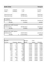 Revised Hedging At Aifs Class Xlsx Stable Dollar Strong Dollar