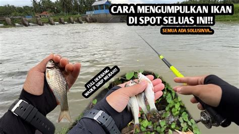 Begini Caranya Mancing Di Spot Yang Luas Mancing Wader Pakai Teknik