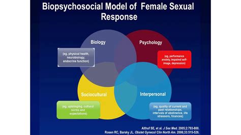 Hsdd The Multidisciplinary Approach To Diagnosis And Therapy Youtube