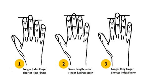 Personality Test Your Finger Length Reveals These Personality Traits