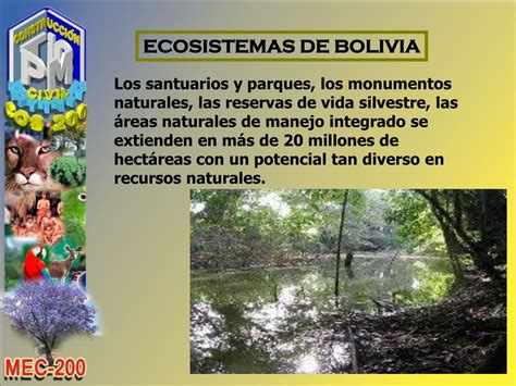 Ppt Ecosistemas En Bolivia Powerpoint Presentation Free Download