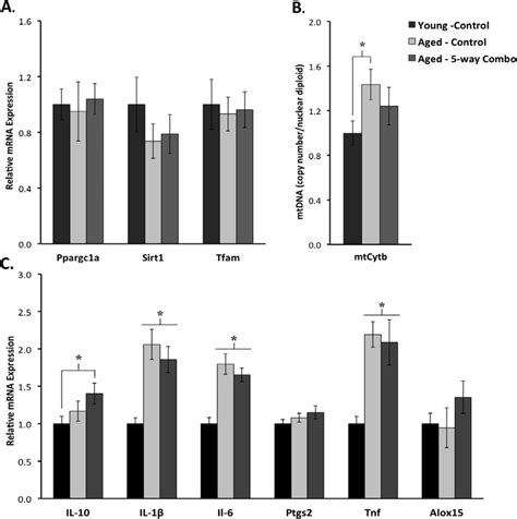 Mitochondrial biogenesis and neuro-immune gene expression. A section of ... 