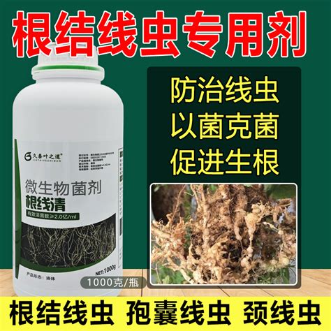 根结线虫专用药淡紫紫孢菌根结根瘤根线清根线灵地下根微生物菌剂虎窝淘