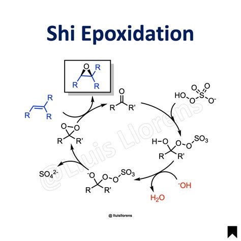 Shi Epoxidation Nrochemistry