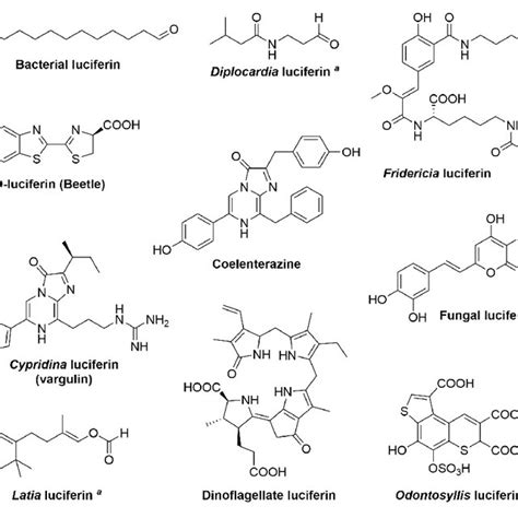 | Structures of known luciferins. a The structure of the light-emitting ...