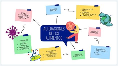 Alteraci N De Los Alimentos Isabel Martinez Udocz