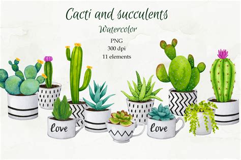 Cacti And Succulents Watercolor Cliparts Graphic By Watercolor By Alyona · Creative Fabrica