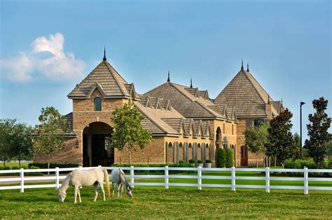 DeShazer Arabians :: Arabian Horses, Stallions, Farms, Arabians, for ...