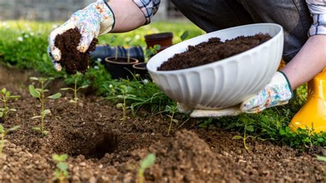 Fertile Soil: What Makes Soil Fertile for Your Plants - 2025 - MasterClass