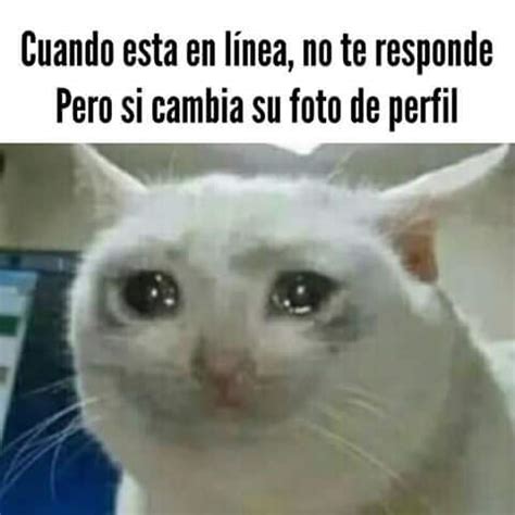 El Titulo Se Fue A Llorar Meme Subido Por Zzzzzzz Memedroid