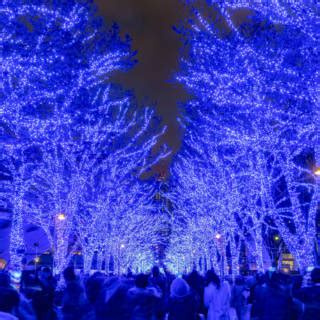 Shibuya Blue Cave Illumination, Early–Late Dec, 2025 | Tokyo Cheapo