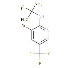 现货供应九鼎化学3 Bromo 2 N t butylamino 5 trifluoromethylpyridine 纯度