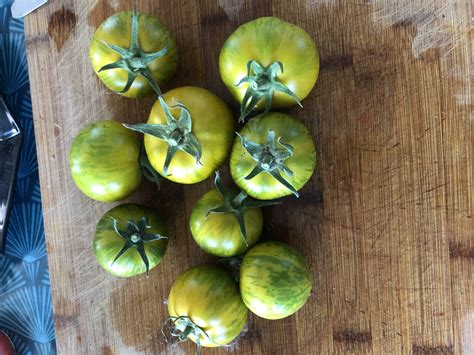 Tomate Green Zebra Plant 1 U Ferme Au Fil Des Saisons Locavor Fr