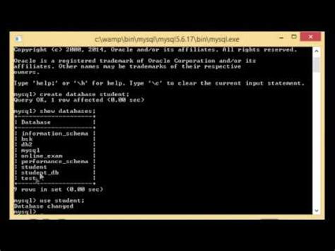 MySQL Tutorial For Beginners Selecting Database YouTube