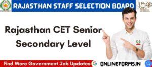 Rajasthan Cet Senior Secondary Level Recruitment Full Details