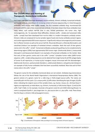 Approved Therapeutic Antibody Drug and Revenue | PDF