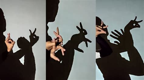 Amazing Hand Shadow Puppet Show Very Interesting Ideas Youtube