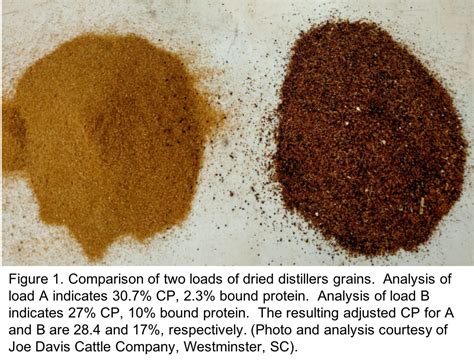 Distillers Grain Offers Supplementation Options For Beef Cattle Producers Lowndes Echols Ag News