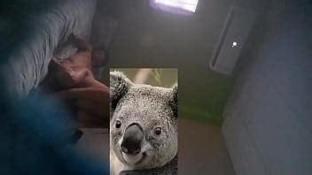 Guayaquil Videos Page 7 XVIDEOS