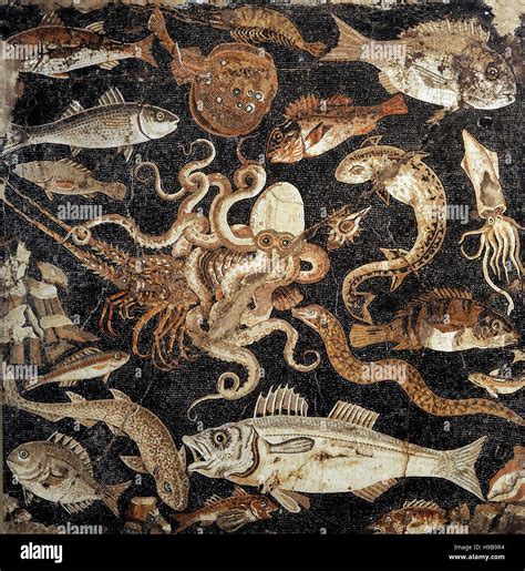 Roman mosaic. Marine wildlife. Pompeii, Italy. 1st century BC. House of ...