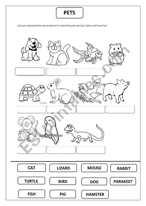 Pet Animals Esl Worksheet By Leilams