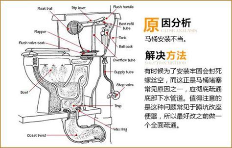 馬桶結構圖教你疏通馬桶，不怕堵了 每日頭條