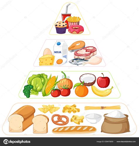 Food Nutrition Groups Pyramid Illustration Stock Vector Image By