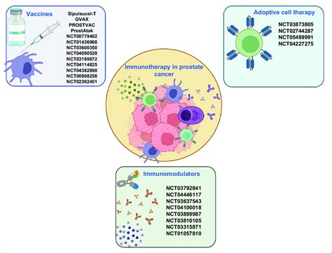 Immunotherapy in prostate cancer. Data extracted from evaluated trials ...