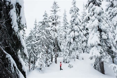 Grouse Mountain snowshoeing in the fog • Wedding photographers for ...