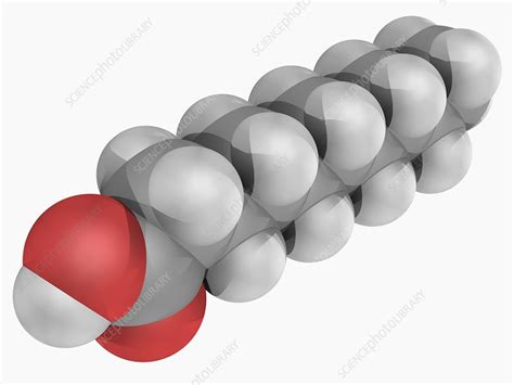 Capric acid molecule - Stock Image - F004/6911 - Science Photo Library