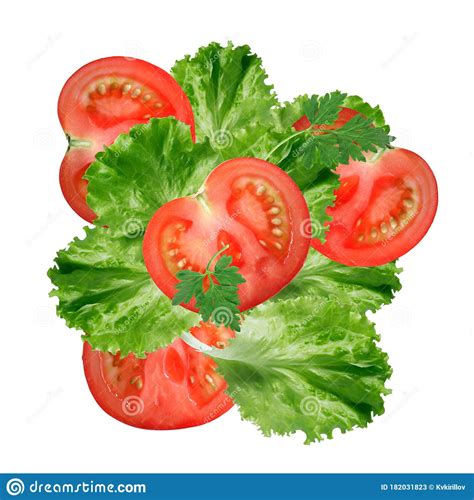 Ervas E Tomates Imagem De Stock Imagem De Agricultura 182031823