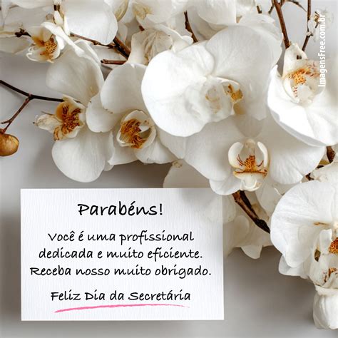 Mensagens Dia da Secretária para WhatsApp com foto de Orquídea Branca ...