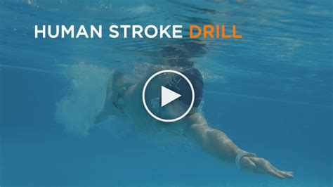 human-stroke-drill | SwimFast