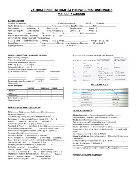 Formato De Valoracion Por Patrones Funcionales Pdf Descarga Gratuita