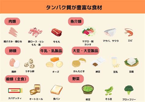 管理栄養士監修タンパク質が豊富な食材一覧効果的に摂るコツも伝授します トクバイニュース